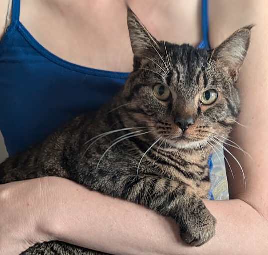 Photo of Norman