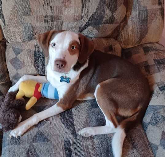 Photo of Eros
