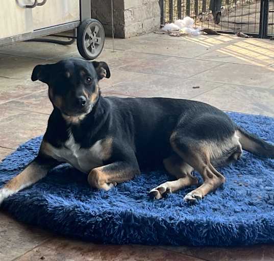 Photo of Lucy
