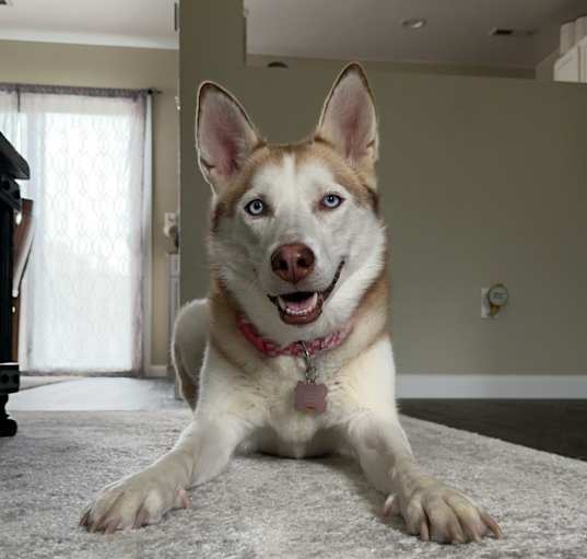 Photo of Lilly