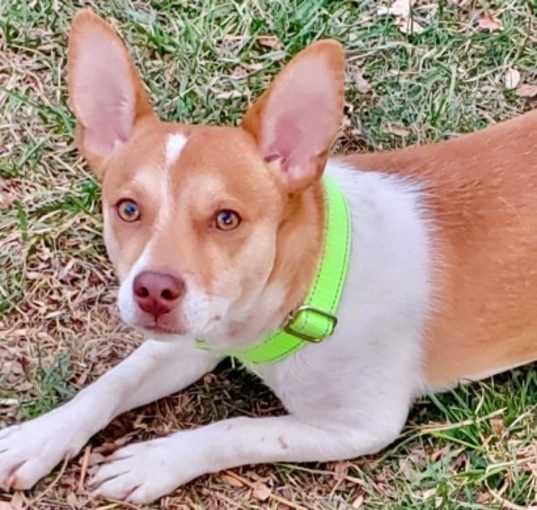 Photo of Alvin