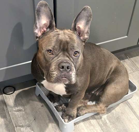 Photo of Honey