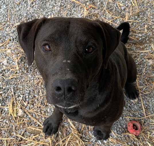 Photo of Nudge
