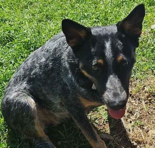 Photo of Camila ( Cami )