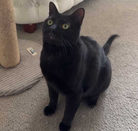 Photo of Poops