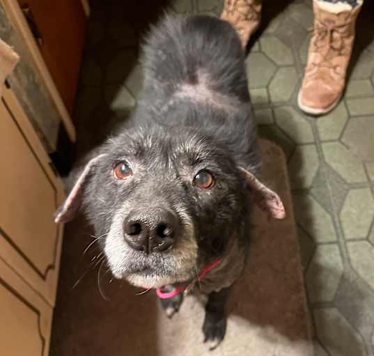 Photo of Sweetie