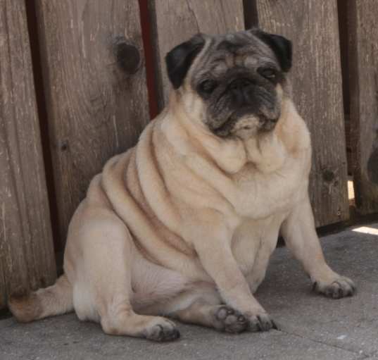 Photo of Valentina