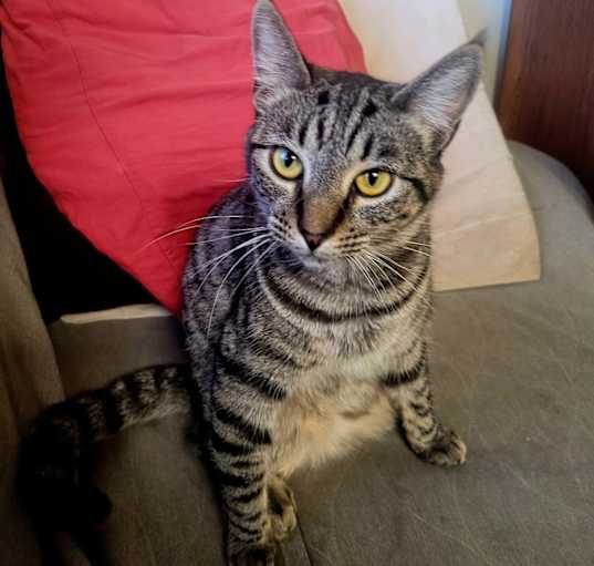 Photo of Cece Marie