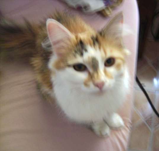 Photo of KeeKay