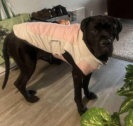 Photo of Cross Posting - Freya