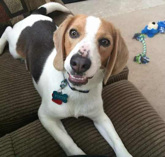 Photo of Buster