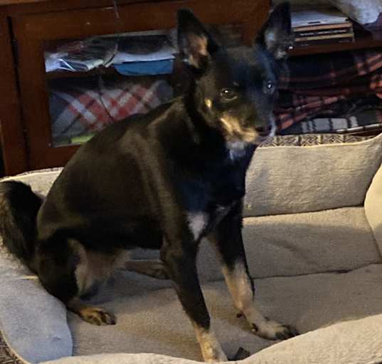 Photo of Buffy