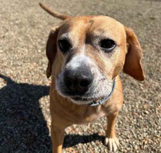 Photo of GROVER