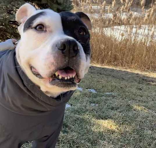 Photo of Bella