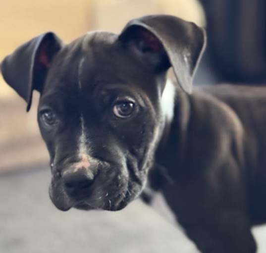 Photo of Fredrick