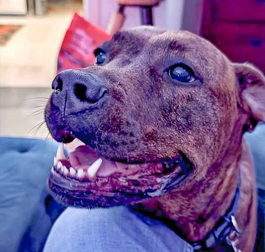 Photo of Reese (New Digs)