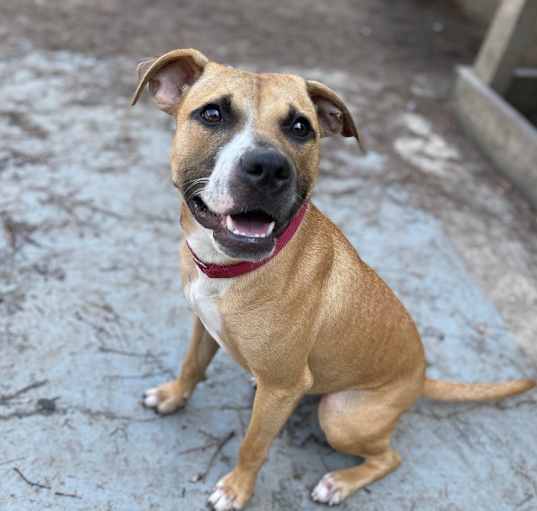 Photo of Bubbles (In Foster)