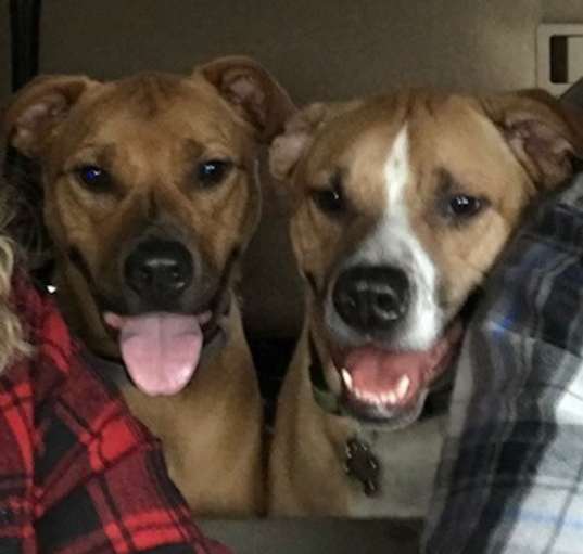 Photo of Red & Ryder