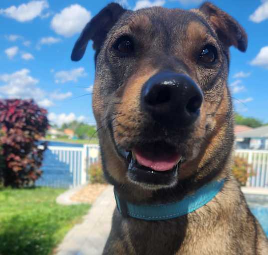 Photo of Charlee
