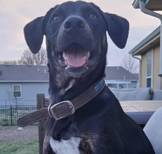 Photo of Bruno