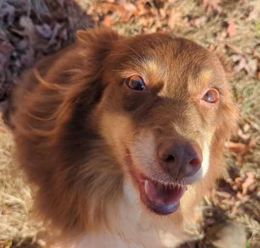 Photo of Meli