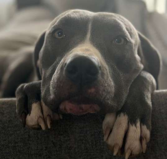 Photo of Coda