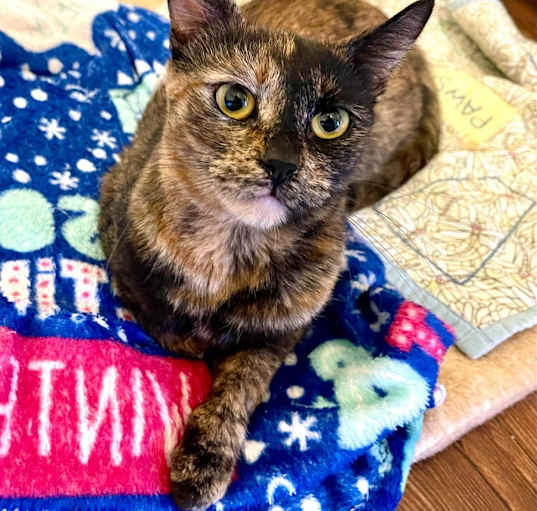 Photo of Madeline 3