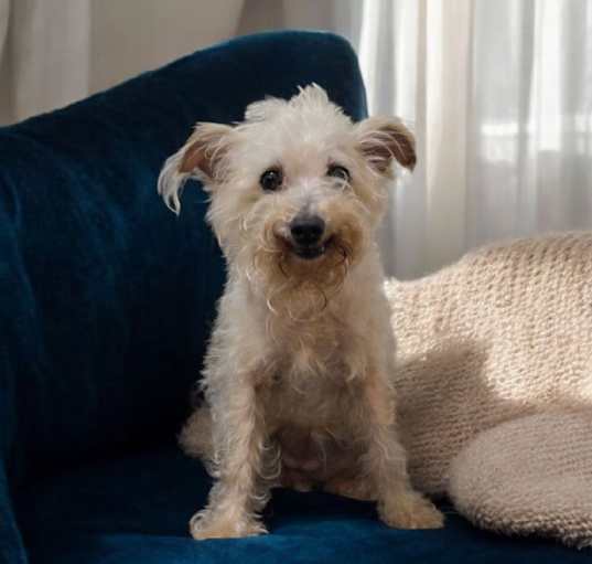 Photo of Hope