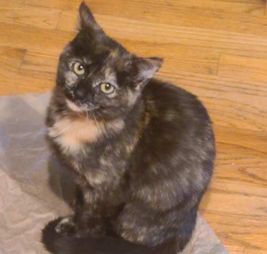 Photo of Lena - must go with Malachi