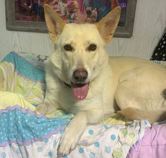 Photo of Ghost