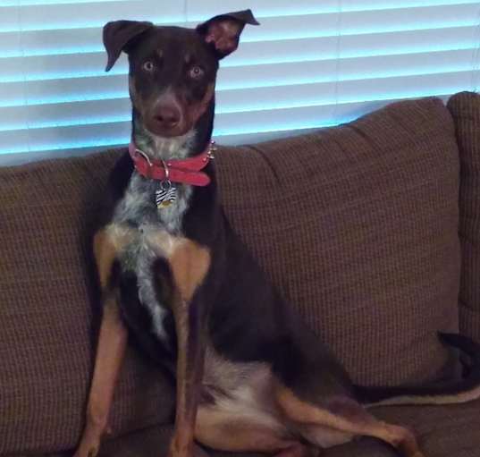 Photo of Zena