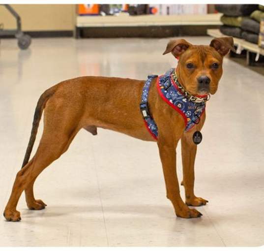 Photo of Parker-Hooch
