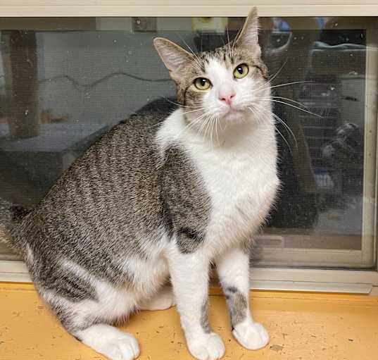 Photo of SKITTLES