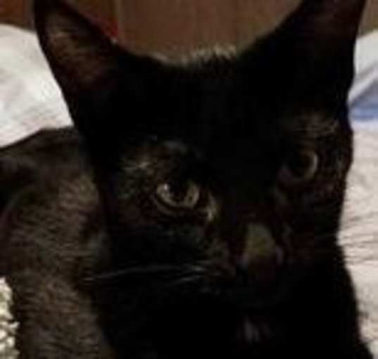 Photo of Zz Ty~ Courtesy