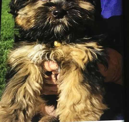 Photo of Baby Denny