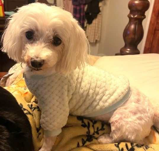 Photo of Molly