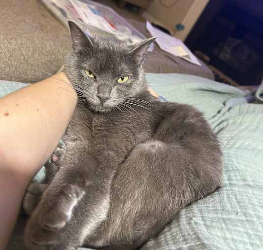Photo of Zoe