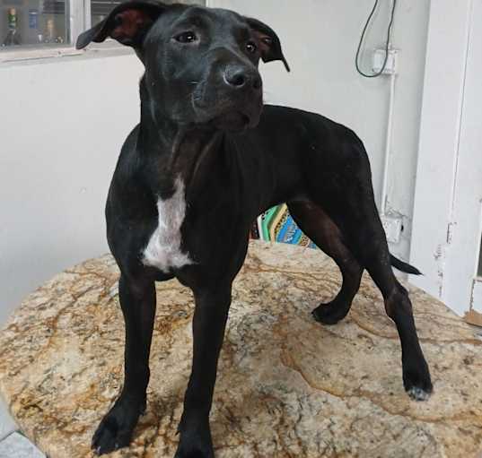 Photo of Kiki