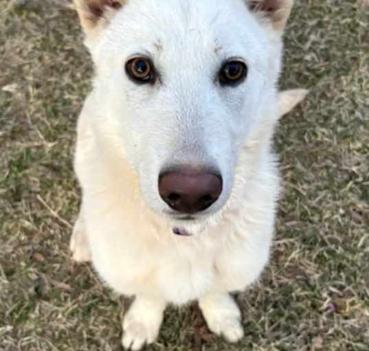 Photo of Luna Williams