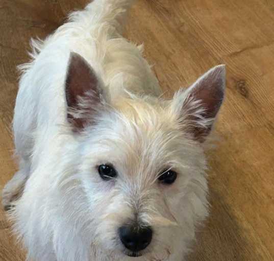 Photo of Winston