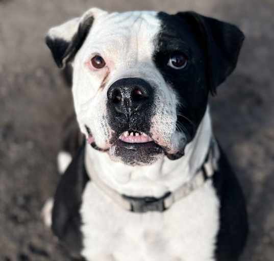 Photo of Kia