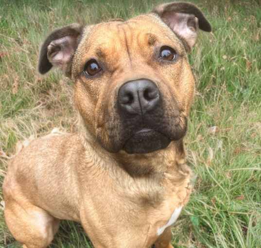 Photo of Roo