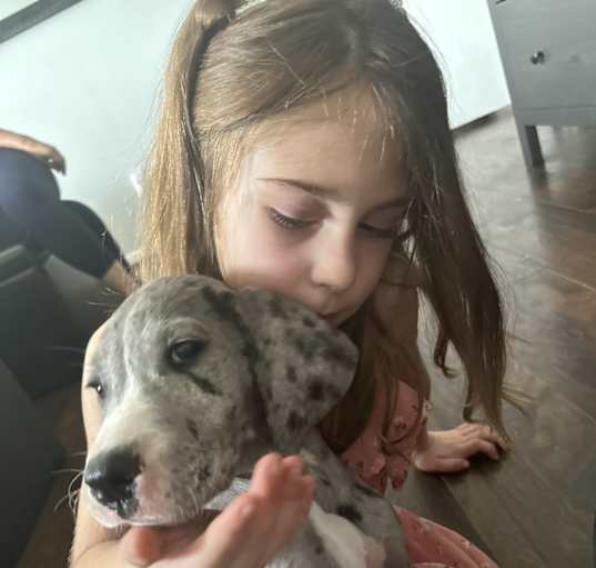 Photo of Gray