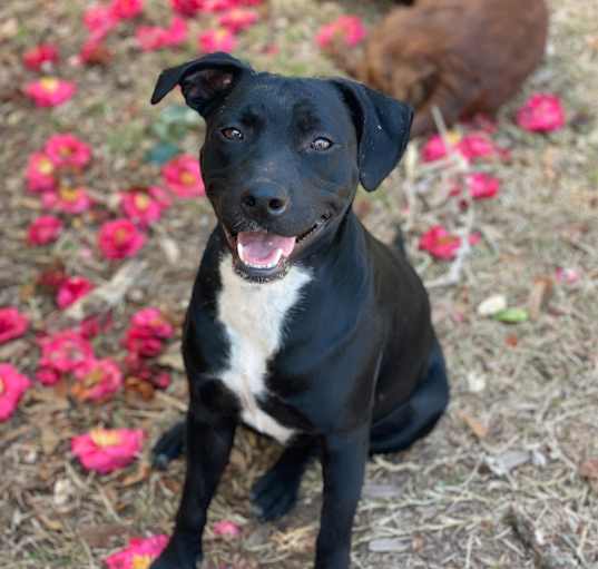 Photo of Tia ~ Loves ALL Toys