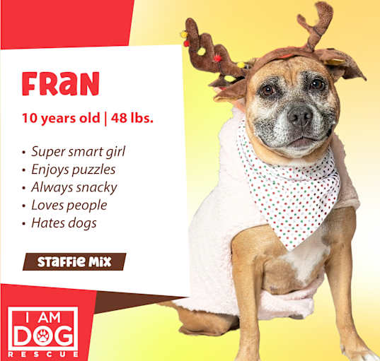 Photo of Fran