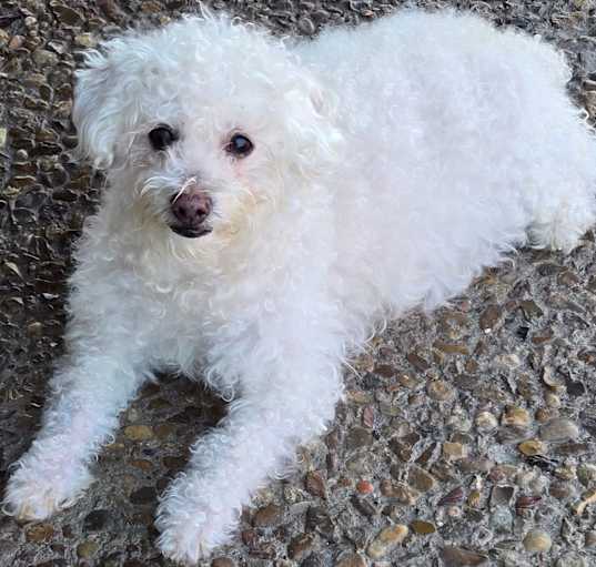 Photo of Burnie