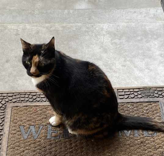 Photo of Nami