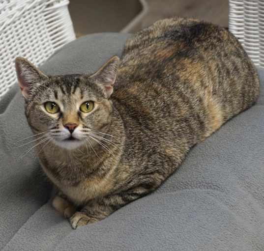 Photo of Clementine Mae