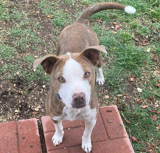 Photo of Hazel