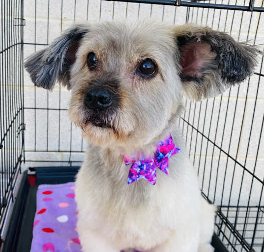 Photo of Sammie